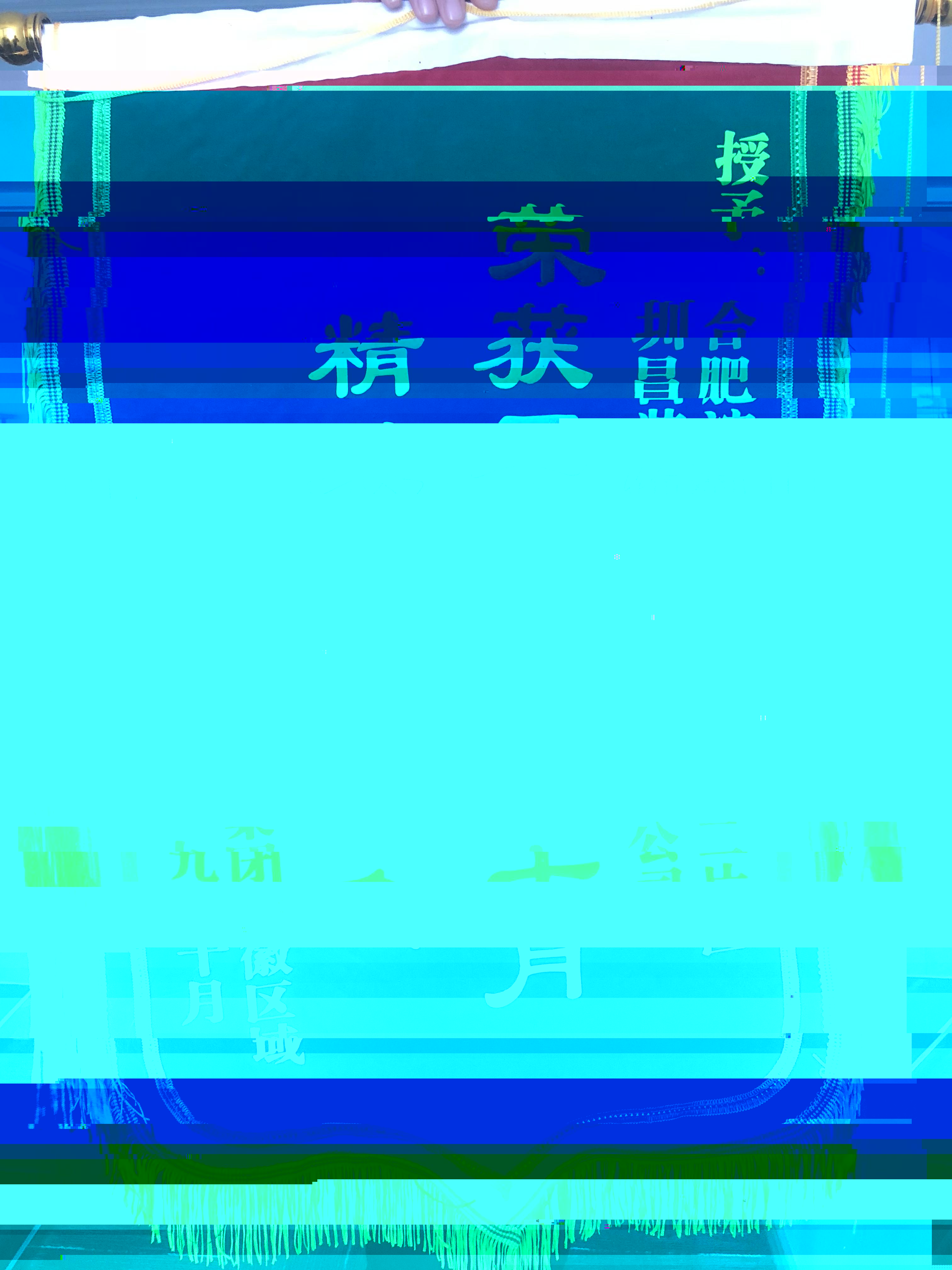 合肥濱湖碧桂園一标段二片區榮獲安徽區域精裝修“第一名”